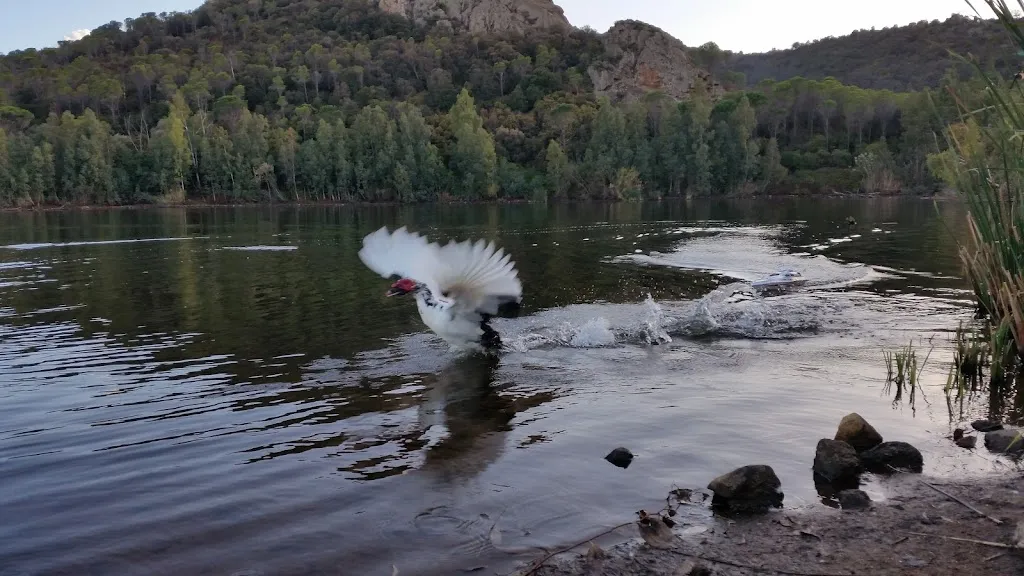 Home Restaurant Sonazzos_Capoterra_slider_image_3