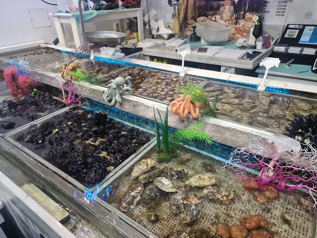 Costa del Sud_Gallipoli_slider_image_3