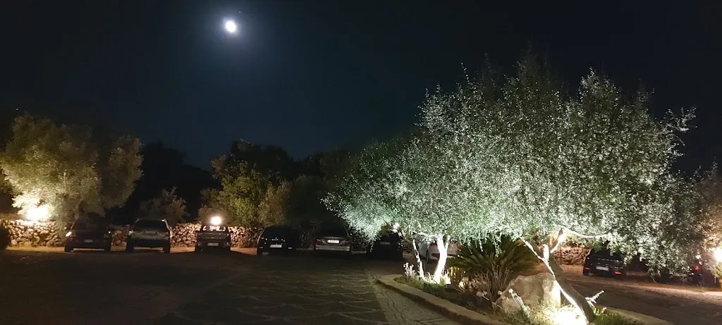 Enrico Cano_HOTEL BARBAGIA Ristorante Tipico e Residenza Rurale ai Piedi del Supramonte_Dorgali_review