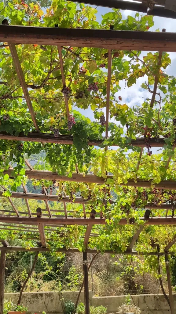 Lìtu Osteria Moderna_Dorgali_slider_image_2