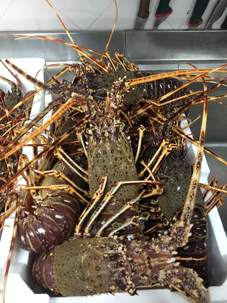 Menu_La Giudecca_Gallipoli_immagine_6