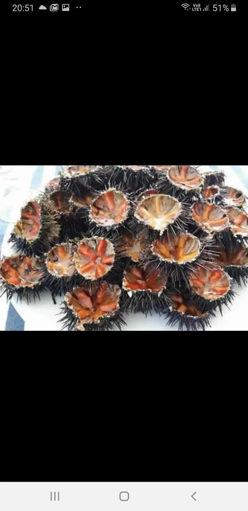 Menu_Pizzeria Bisteccheria a Modo Nostro_Fluminimaggiore_image_5