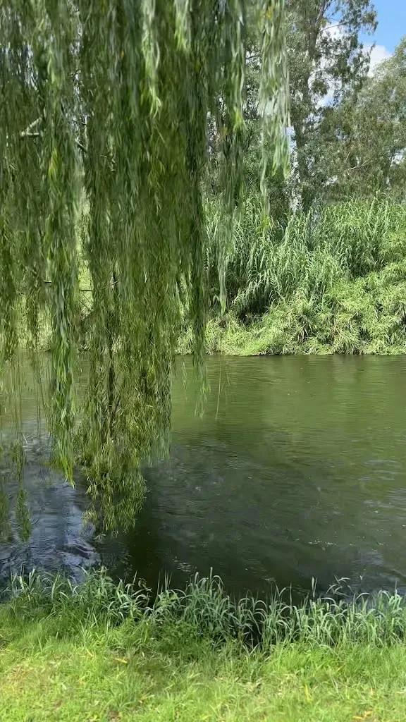 Veera Zukova_Bagni Termali Is Bangius_Fordongianus_review