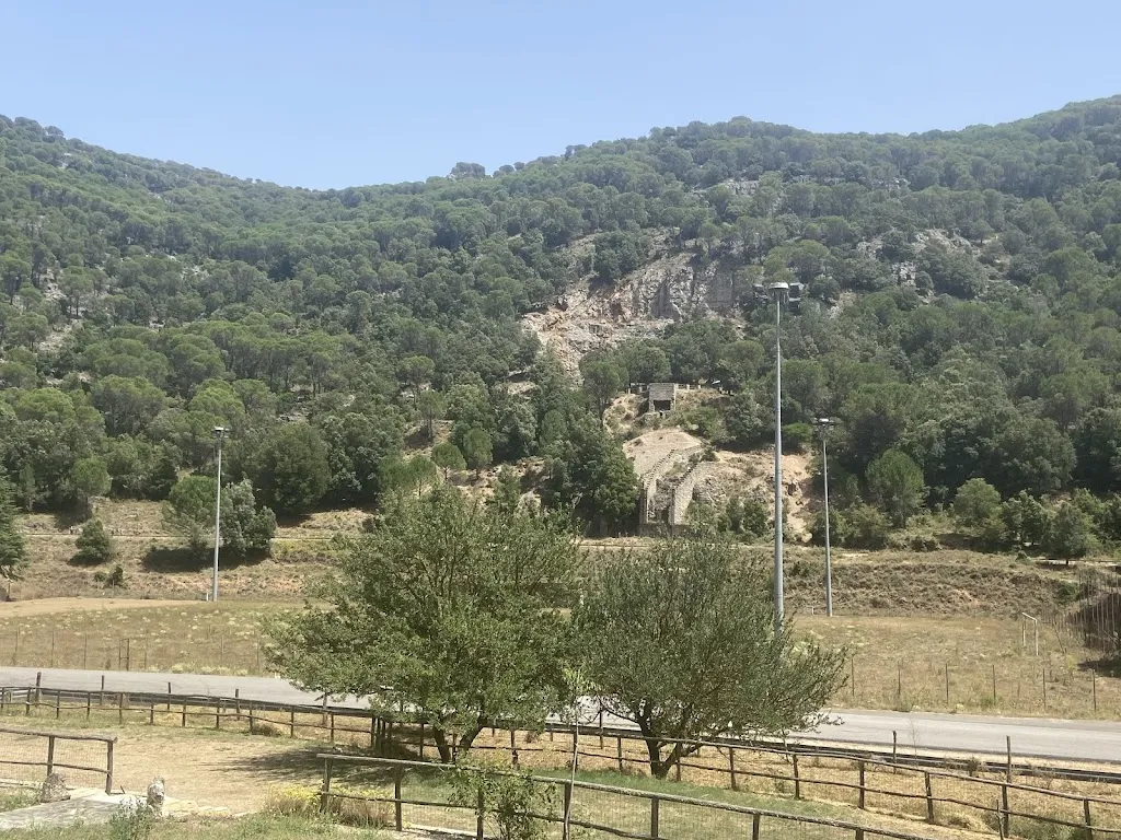 massimo corveddu_Ristorante Bar L'Asfodelo_Gairo Sant'Elena_review