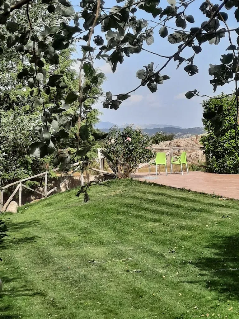 Famke Van Lieshout_Donnortei_Fonni_review