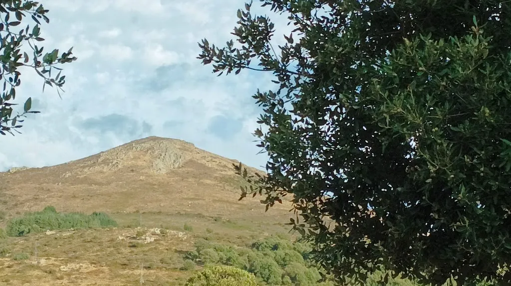 Francesco Peru_Donnortei_Fonni_review