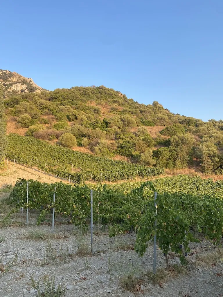 Cecilia_Tanca E Gaia_Galtellì_review