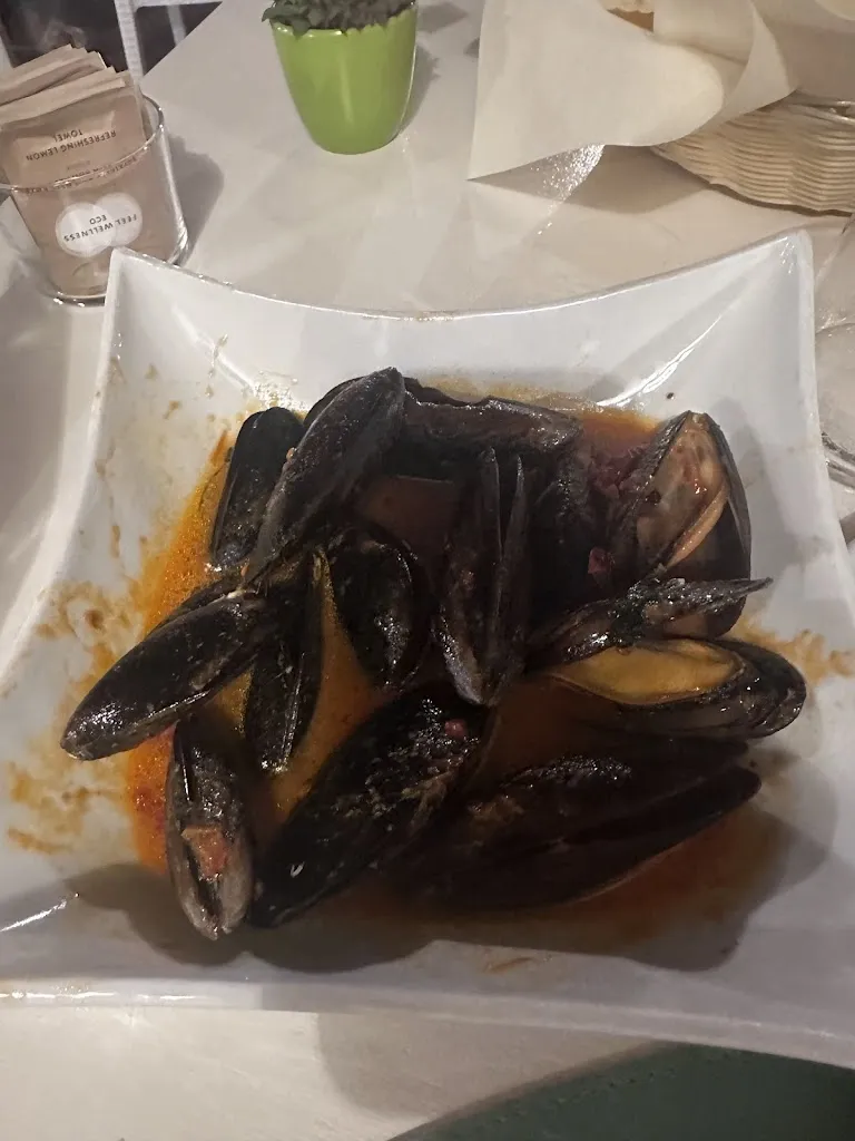 Dimitar Yanis_Massajos_Galtellì_review