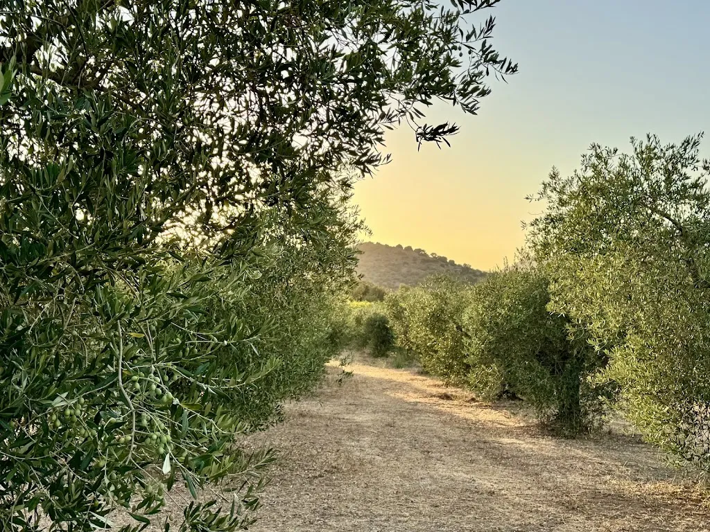 Ian McMartin_Don Ballore_Galtellì_review