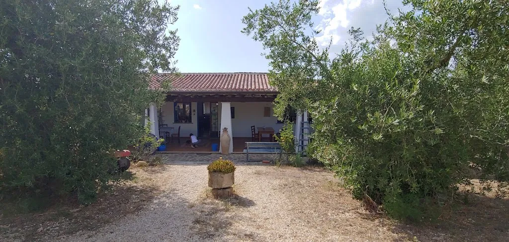 Silke Janz_Don Ballore_Galtellì_review