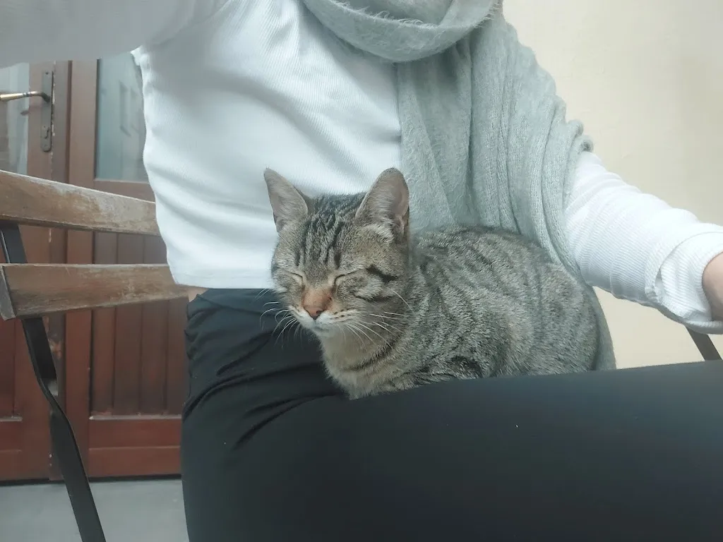 yamit fleiss_Albergo Antico Borgo_Galtellì_review