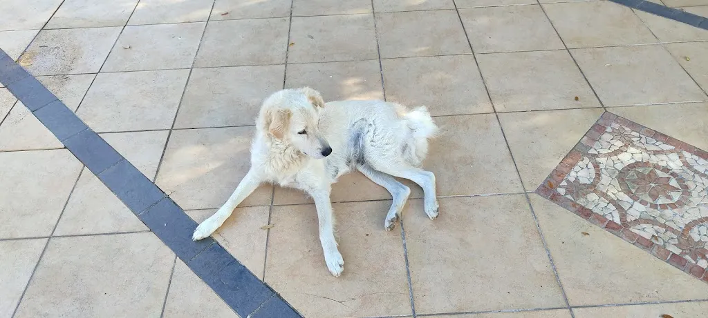 Yuriy Seredin_Hotel Taloro_Gavoi_review