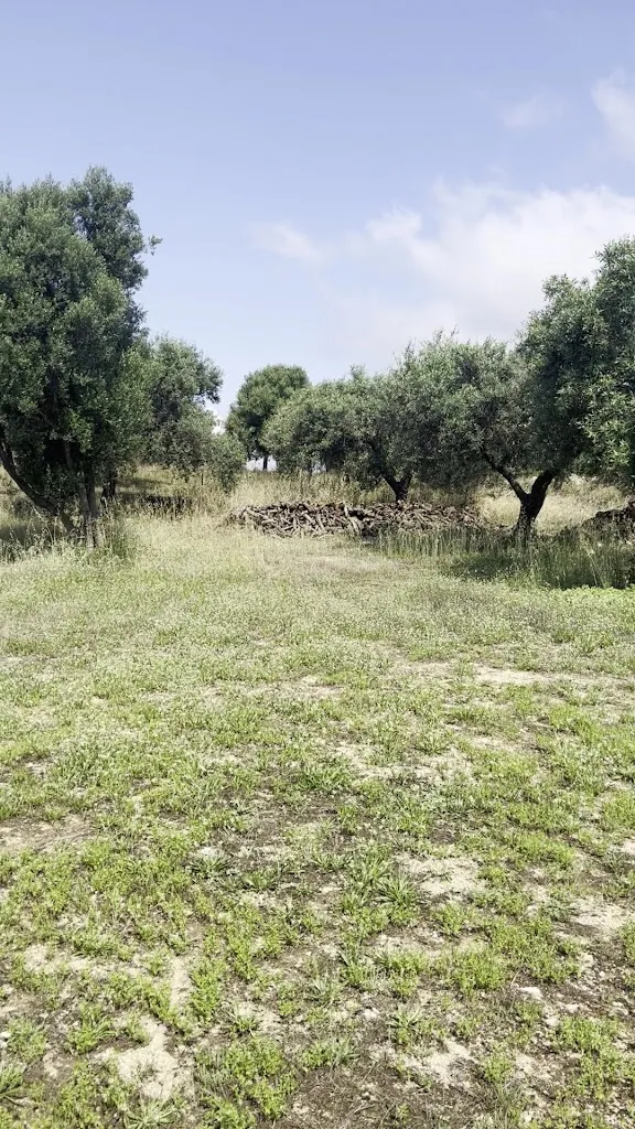 Patrick Penzo_Agriturismo Is Conchisceddas Medio Campidano - Sardegna_Gonnosfanadiga_review