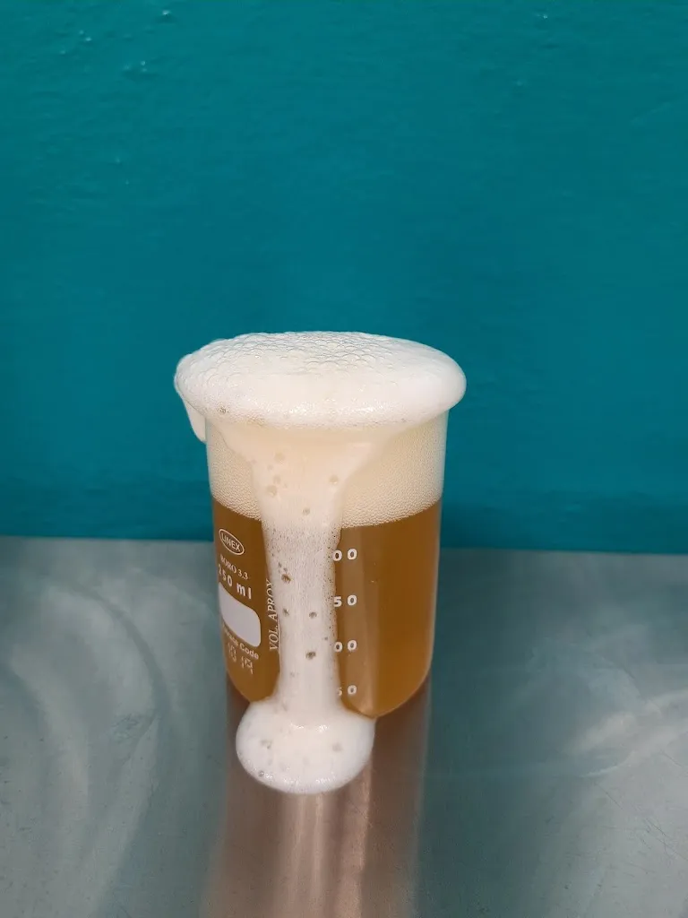 Menu_Arbareska LAB - Laboratorio Artigianale di Birra_Isili_image_2