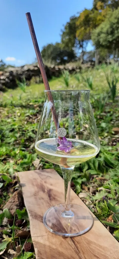 Menu_Arbareska LAB - Laboratorio Artigianale di Birra_Isili_image_4