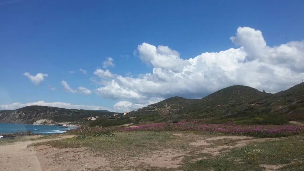 Pizzeria da Danilo_Guspini_slider_image_2