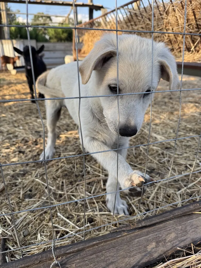 Kirsten Pfeiffer_Agriturismo Casa Marmida_Guspini_review