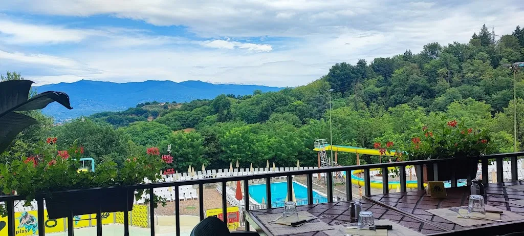 Dominic Leleu_Risorante Il Vecchio_Girasole_recensione