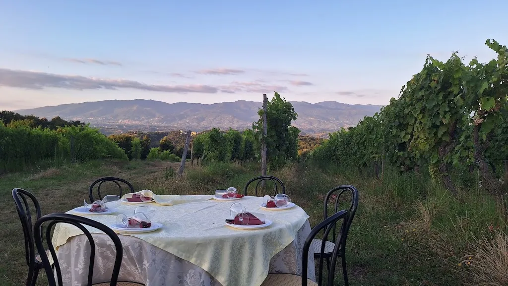 Youri van Dijk_Perlamora_Girasole_recensione