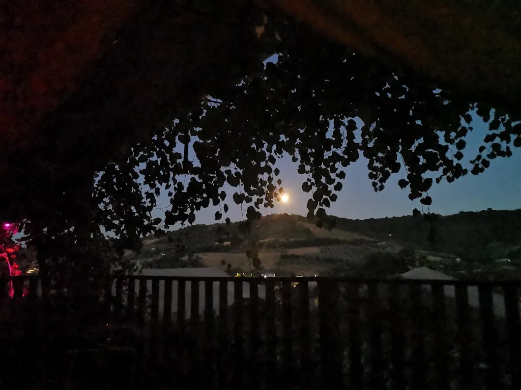 Sara Bertoncelli_Il Girasole_Girasole_review