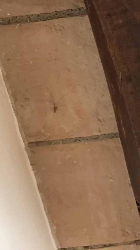 Junyang Sun_Relais Osteria dell'Orcia_Girasole_review