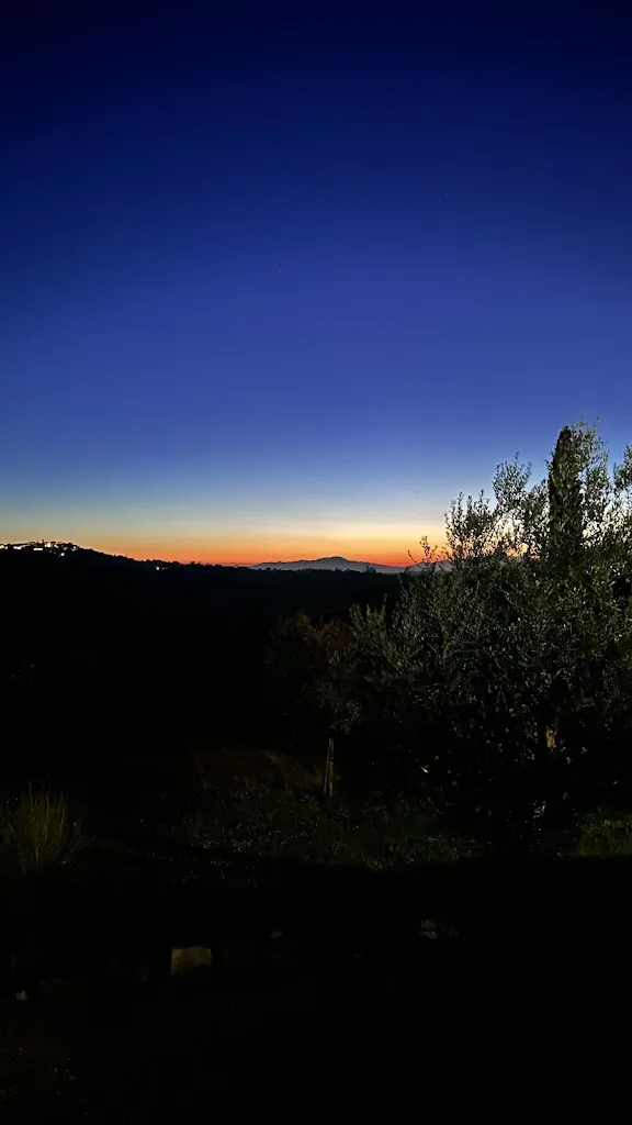 Leon Tubbing_Trattoria Toscana Sant'Ilario_Girasole_review