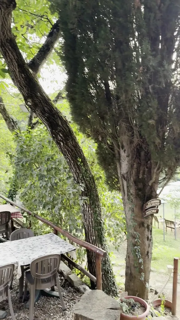 Botteghina di dudda_Girasole_slider_image_2