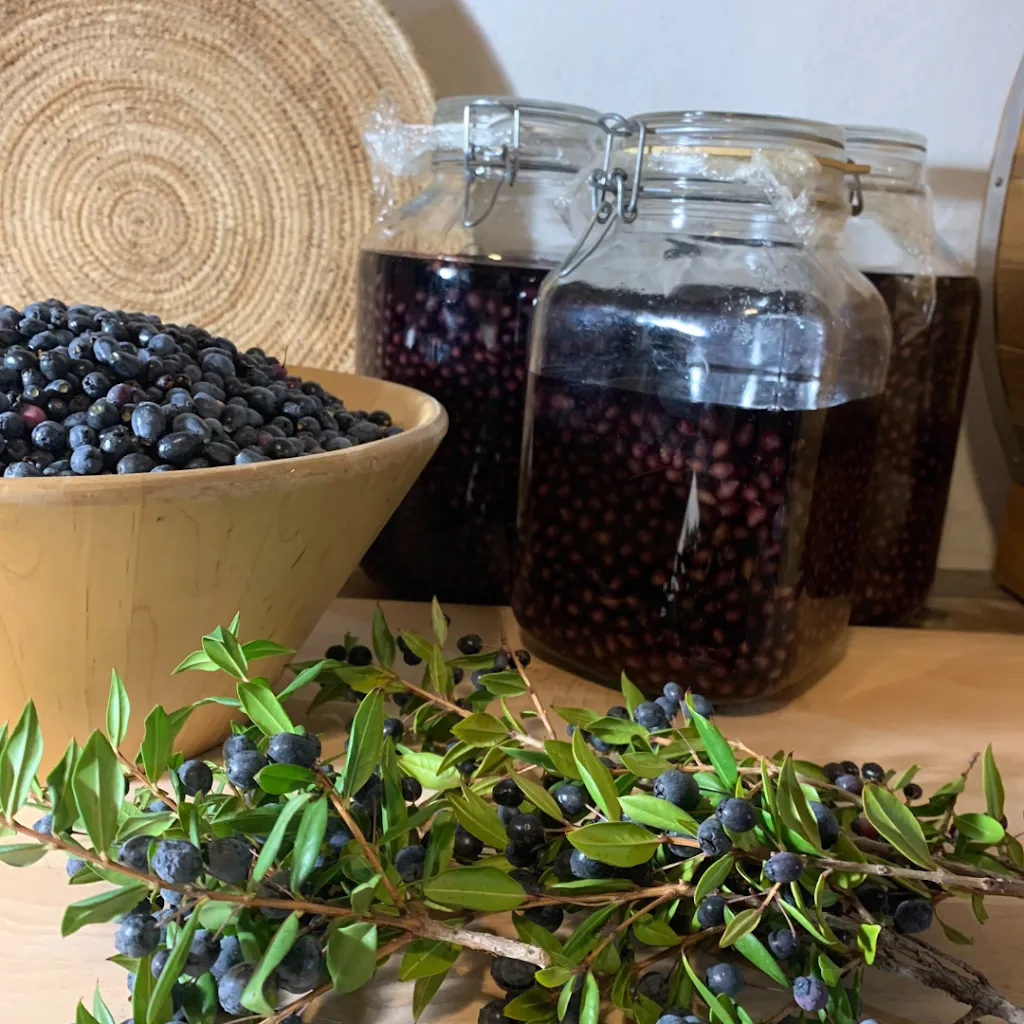 Menu_Artist's Home Restaurant - Ogliastra Food Experience_Jerzu_image_4