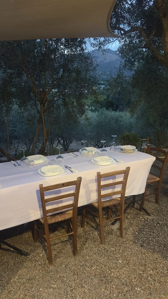 Artist's Home Restaurant - Ogliastra Food Experience_Jerzu_slider_image_1