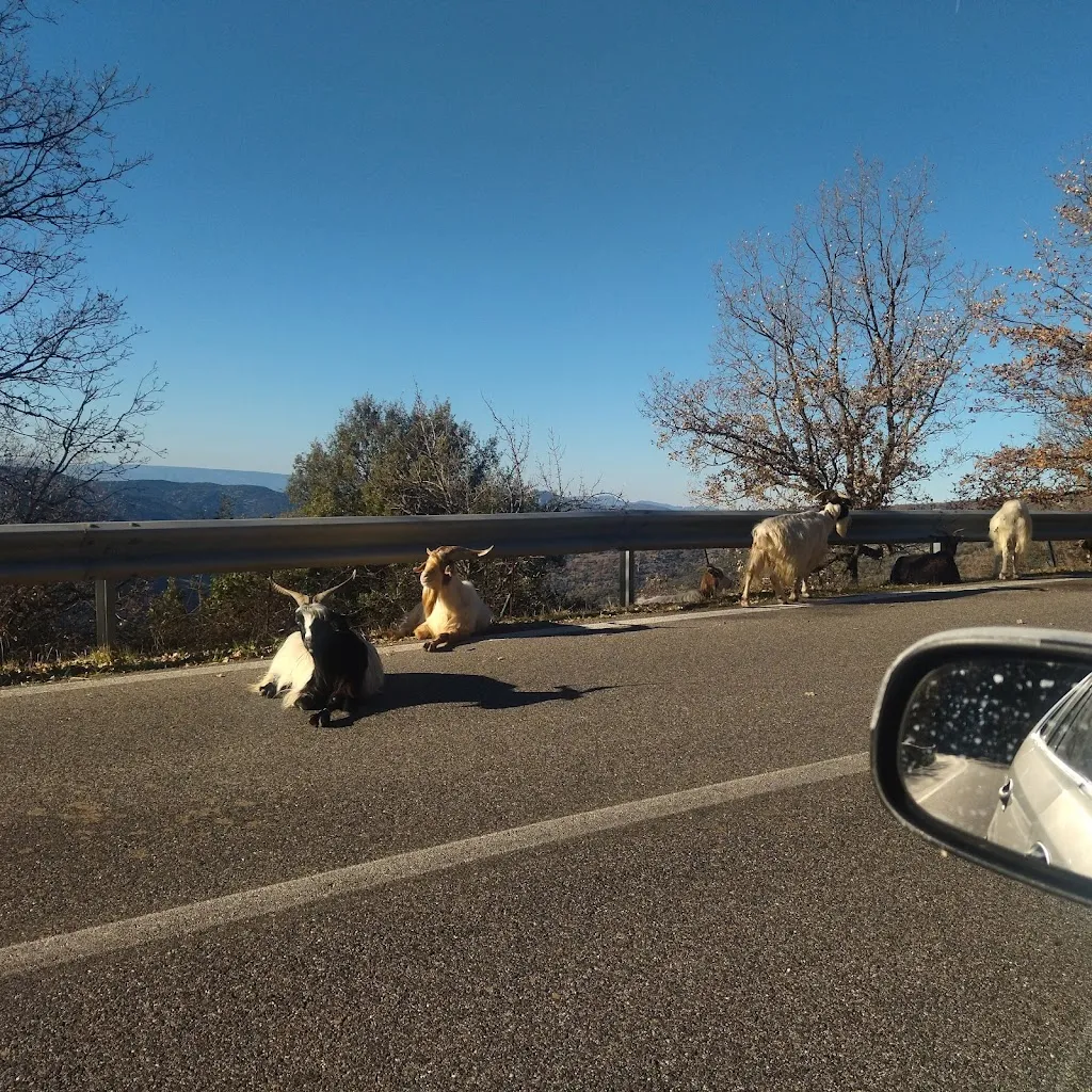 spanu antonio_Da Zia Titina_Jerzu_review