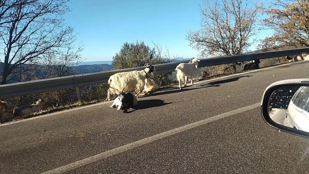 Da Zia Titina_Jerzu_slider_image_2