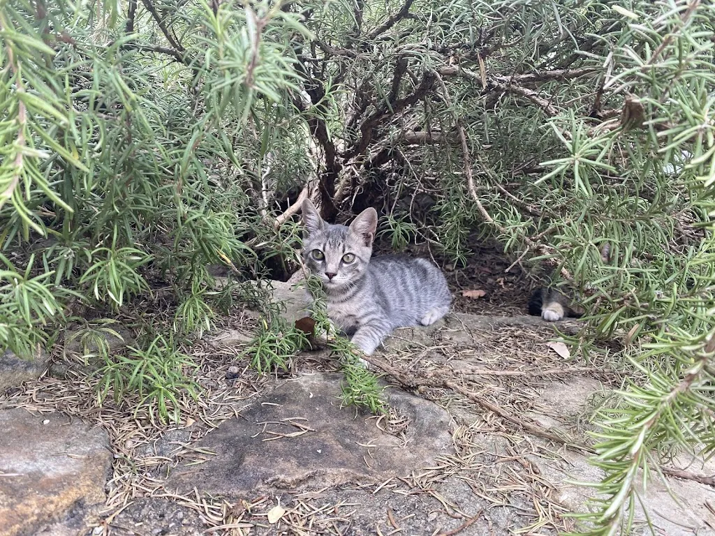 richard goehringer_Agriturismo Genna 'e Corte_Laconi_review