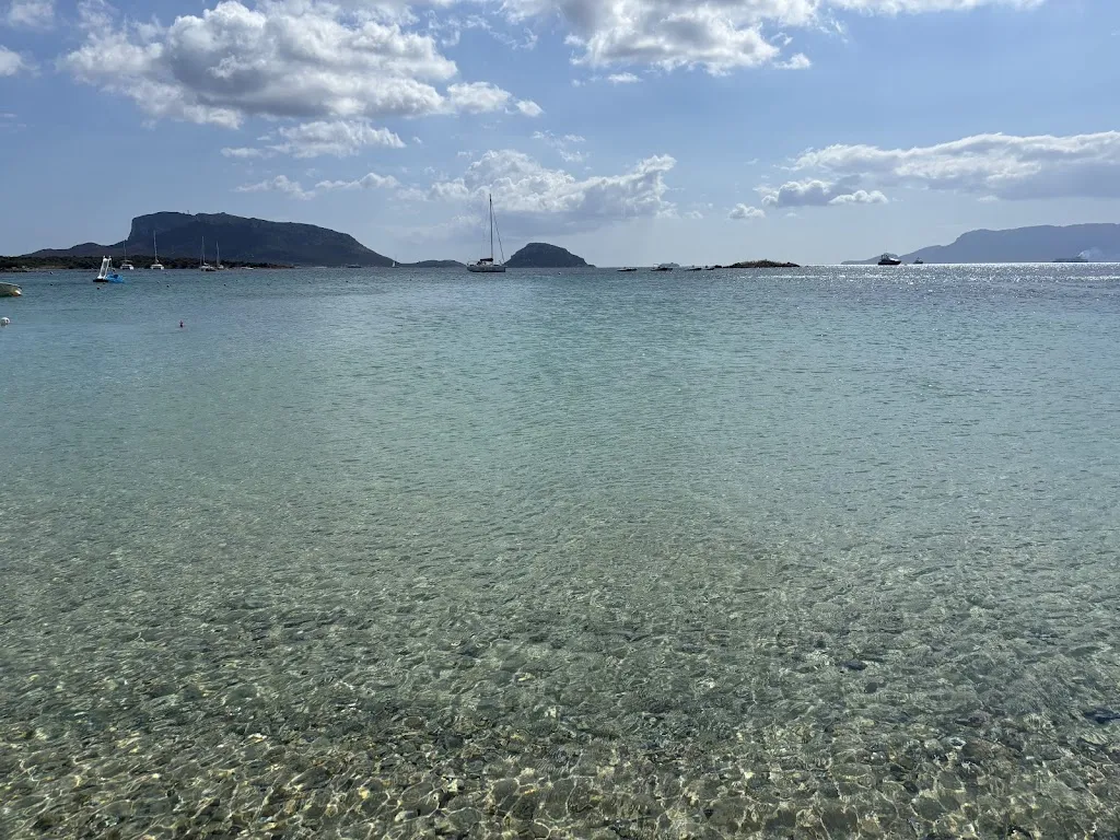 Begum Saygecitli_Fino Beach & Restaurant_Golfo Aranci_review