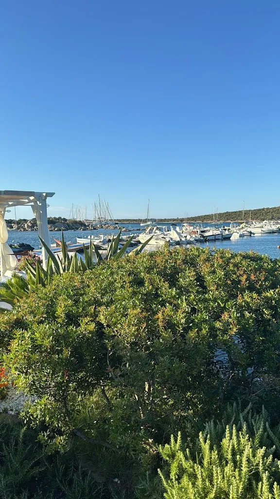 Mary V_Yachting Club Vela Blu_Golfo Aranci_review