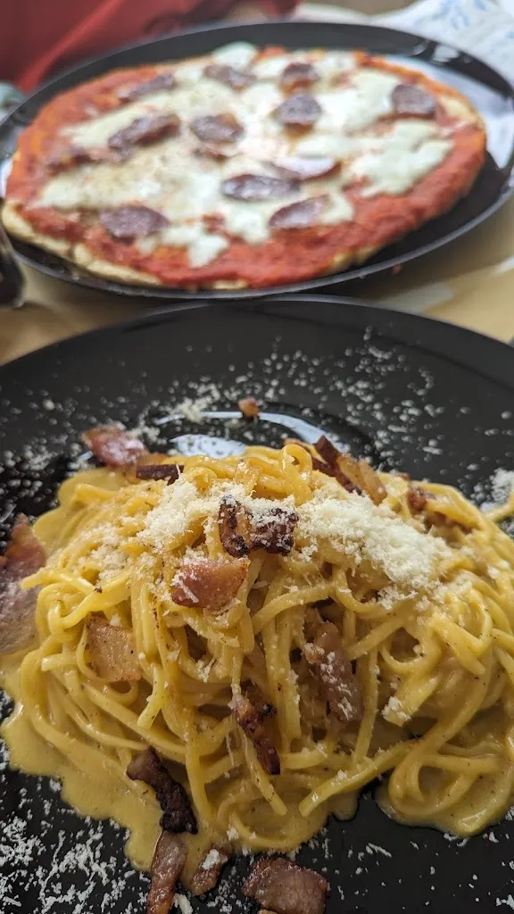 Shiva Ansaripour_RIsto Bar G.G._Lotzorai_review