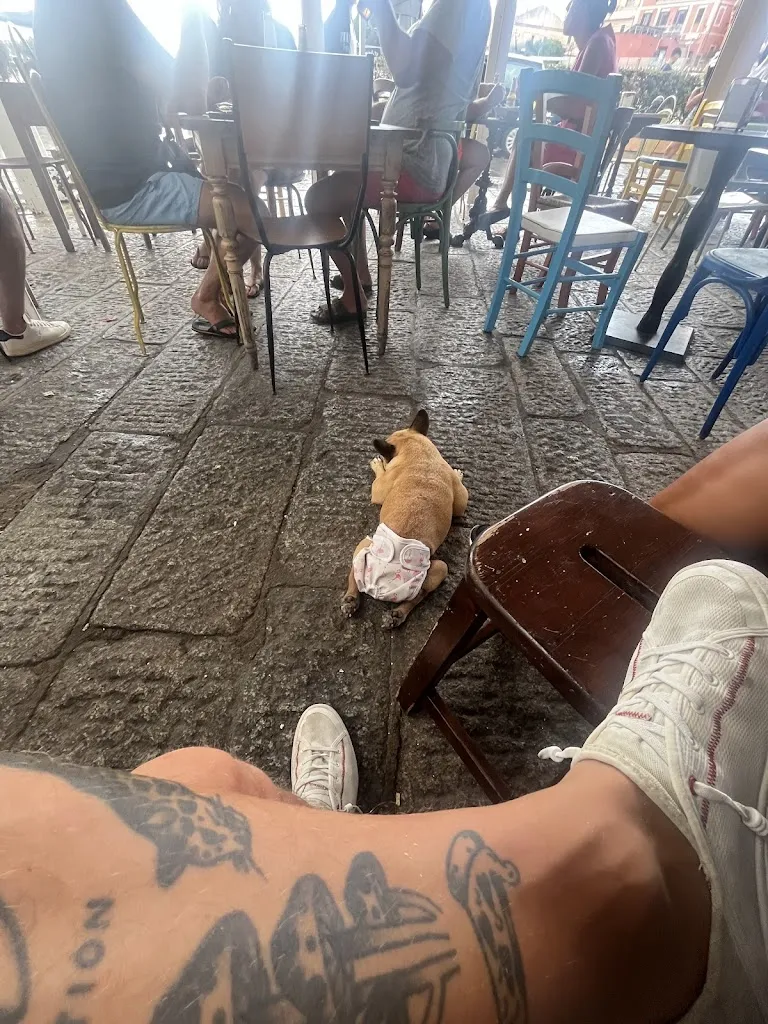 Lee Webster_I Vitelloni La Maddalena Al Porto_La Maddalena_review