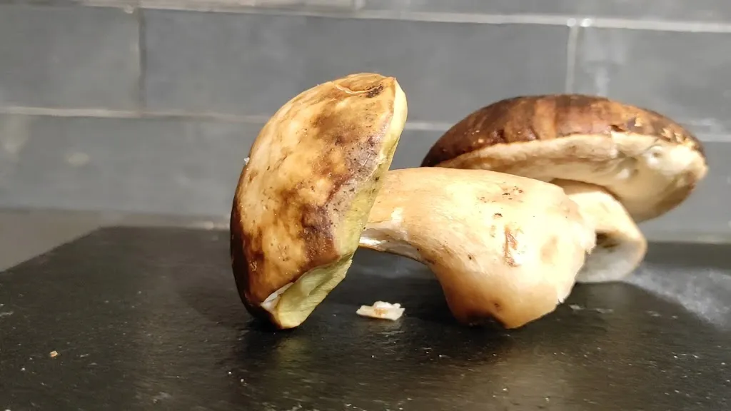 La Bodeghita_Francavilla Fontana_slider_image_2