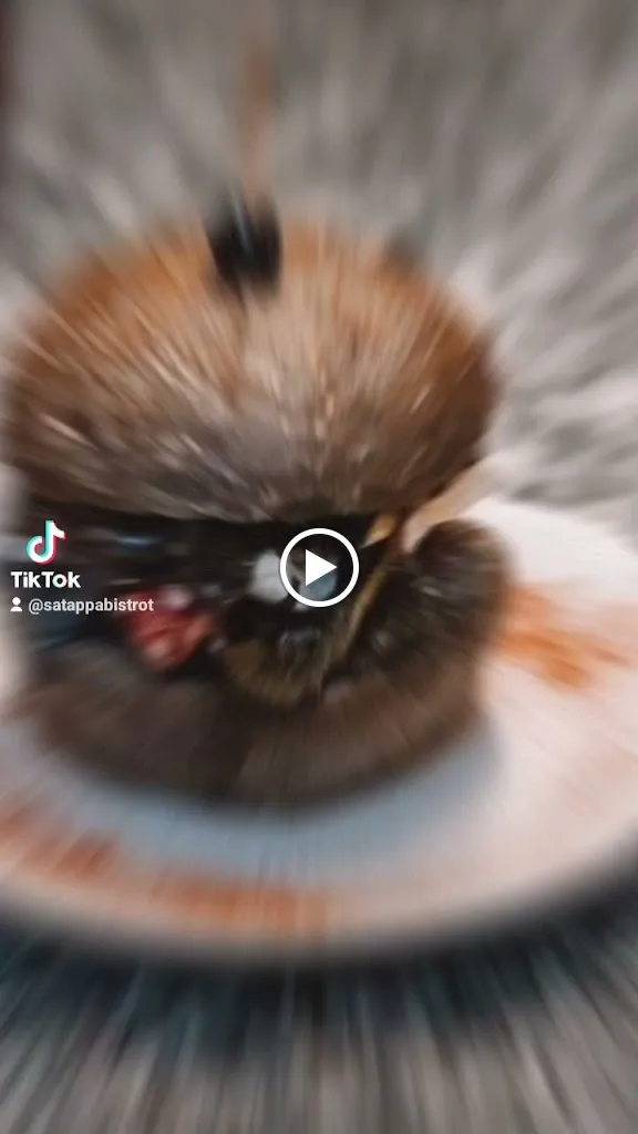 Sa Tappa Bistrot_La Caletta_slider_image_2