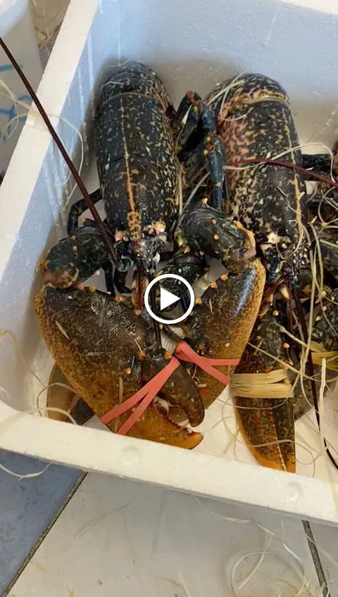 Spigola D'Oro restaurant in La Caletta