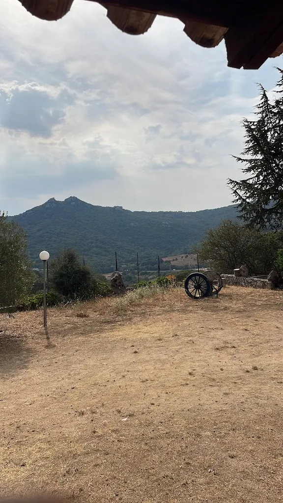 Lorenzo Sanna_Agriturismo Vaddidulimu_Luogosanto_recensione