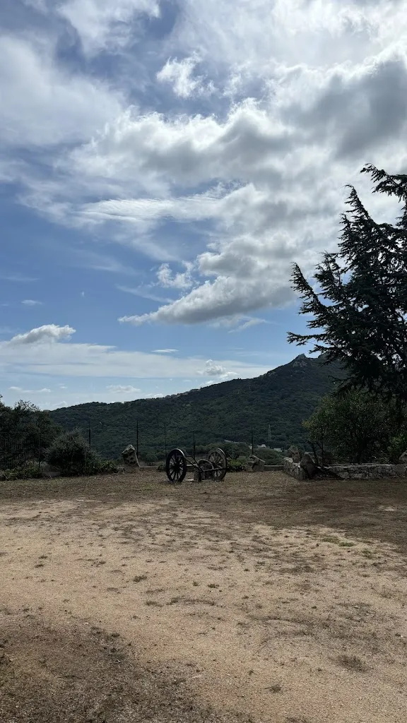 Susanna Fanti_Agriturismo Vaddidulimu_Luogosanto_recensione