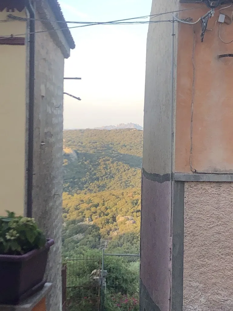 Bar Nieddu. Vizi & Servizi_Luogosanto_slider_image_3