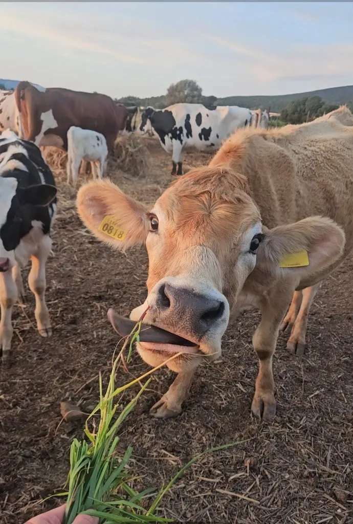 Melanie Wagner & Tosan Teetzmann_Agriturismo 