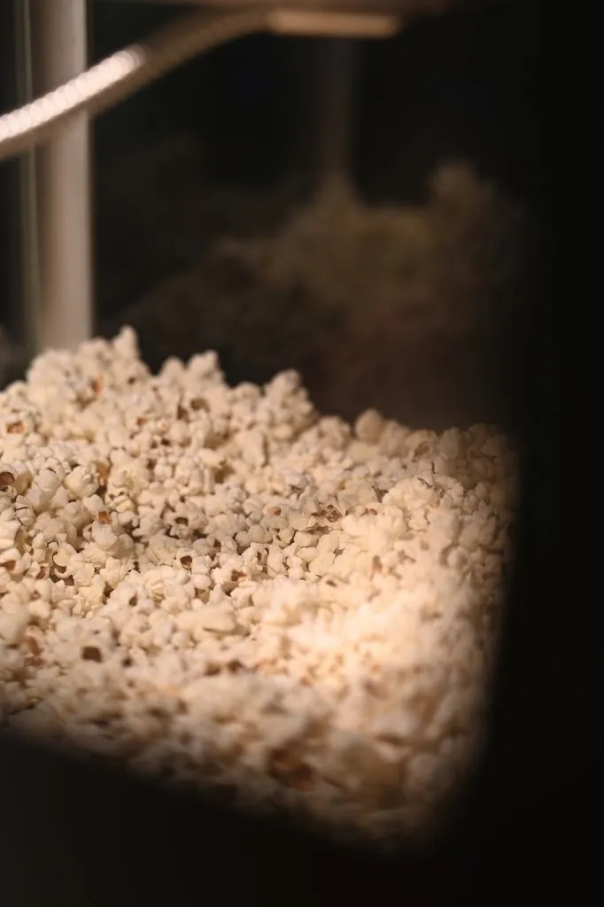 Menu_Sal8 - Cocktail bar - Francavilla Fontana_Francavilla Fontana_image_6