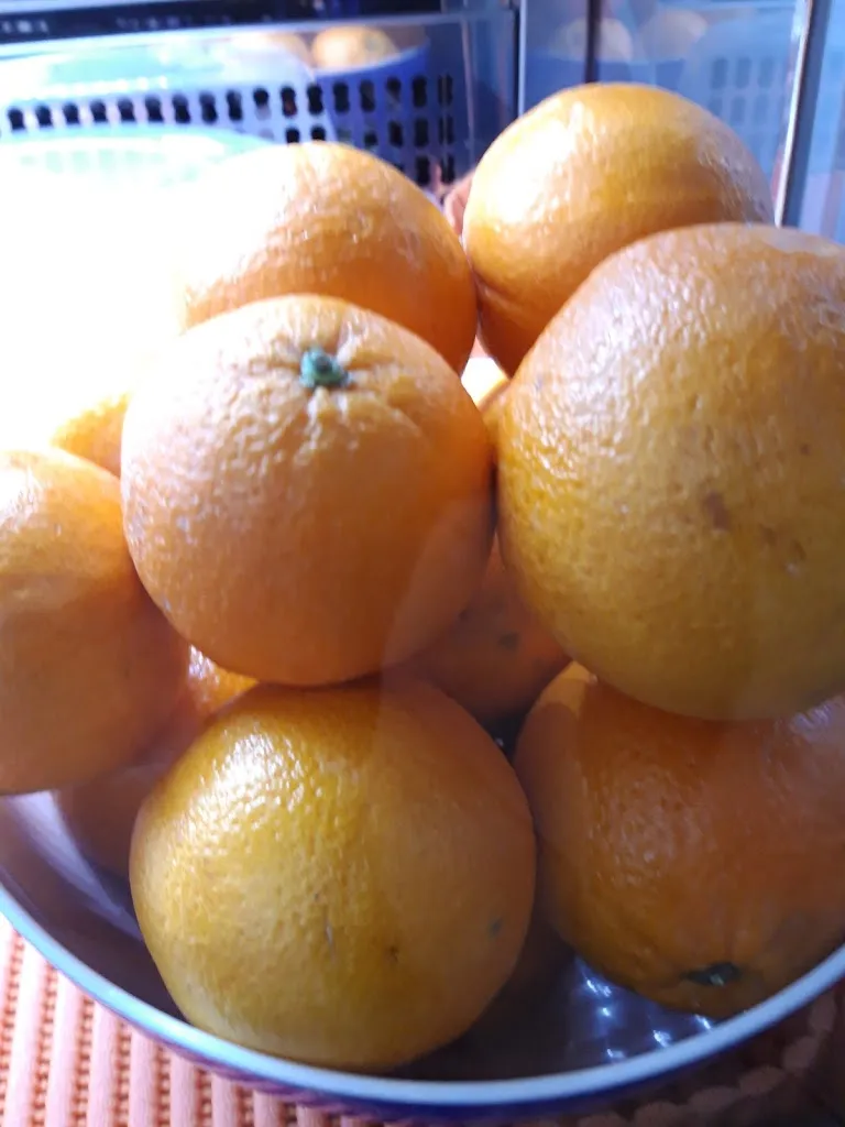 Menü_Royale cafè Ale & Roby_Marrubiu_Bild_3