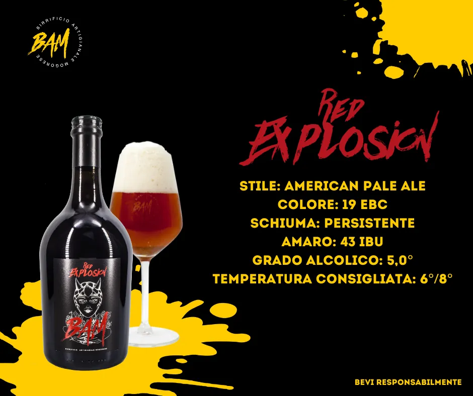 Menu_BAM - Birrificio Artigianale Mogorese_Mogoro_image_3