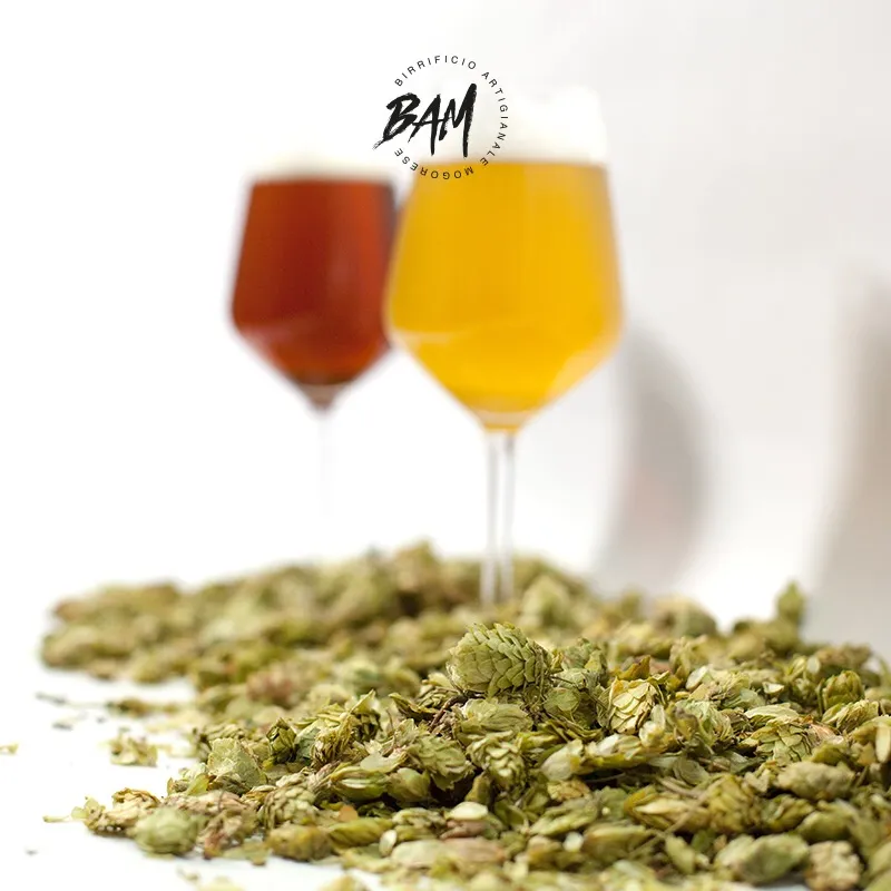 Menu_BAM - Birrificio Artigianale Mogorese_Mogoro_image_9