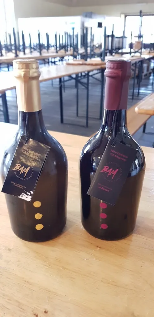 Fabio Serra_BAM - Birrificio Artigianale Mogorese_Mogoro_review