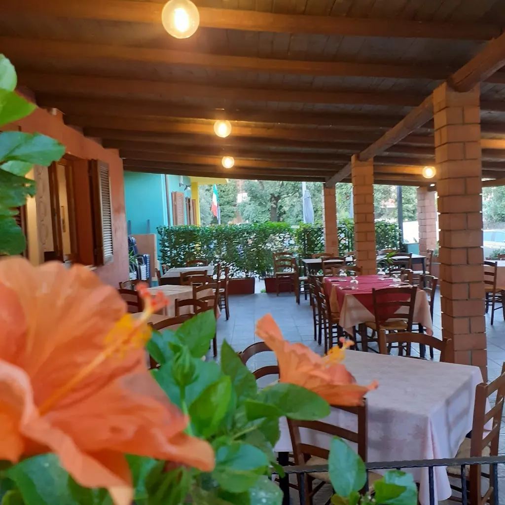 Bar Pizzeria 90_Narbolia_slider_image_3