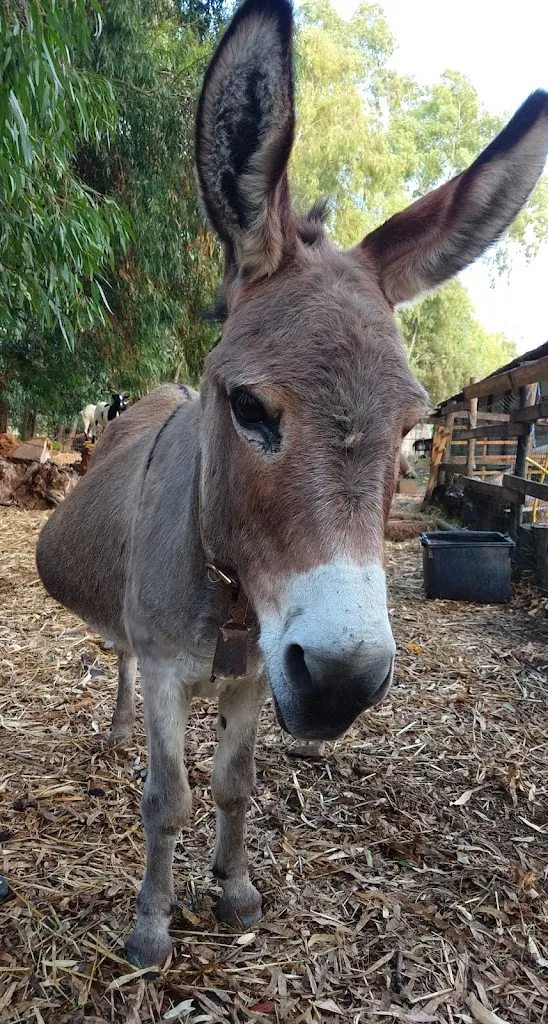 La Butcherette_Centro Ippico Agrituristico del Sarrabus_Muravera_review